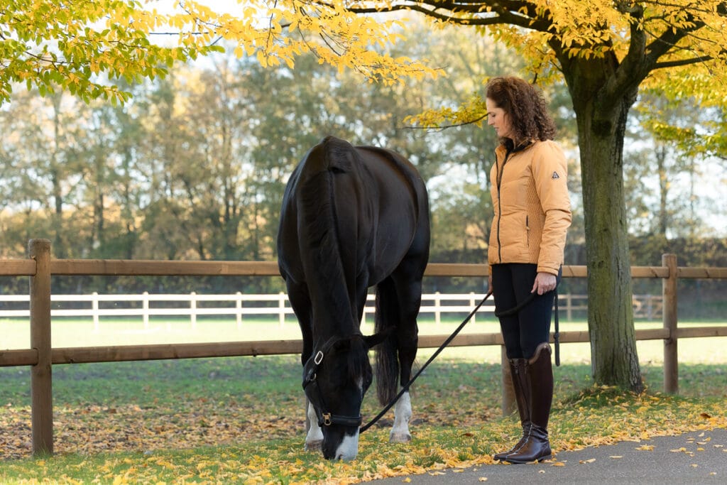 Ocean Equine paarden revalidatie wellness Mireille Poeisz 36 Ocean Equine | Equine Wellness