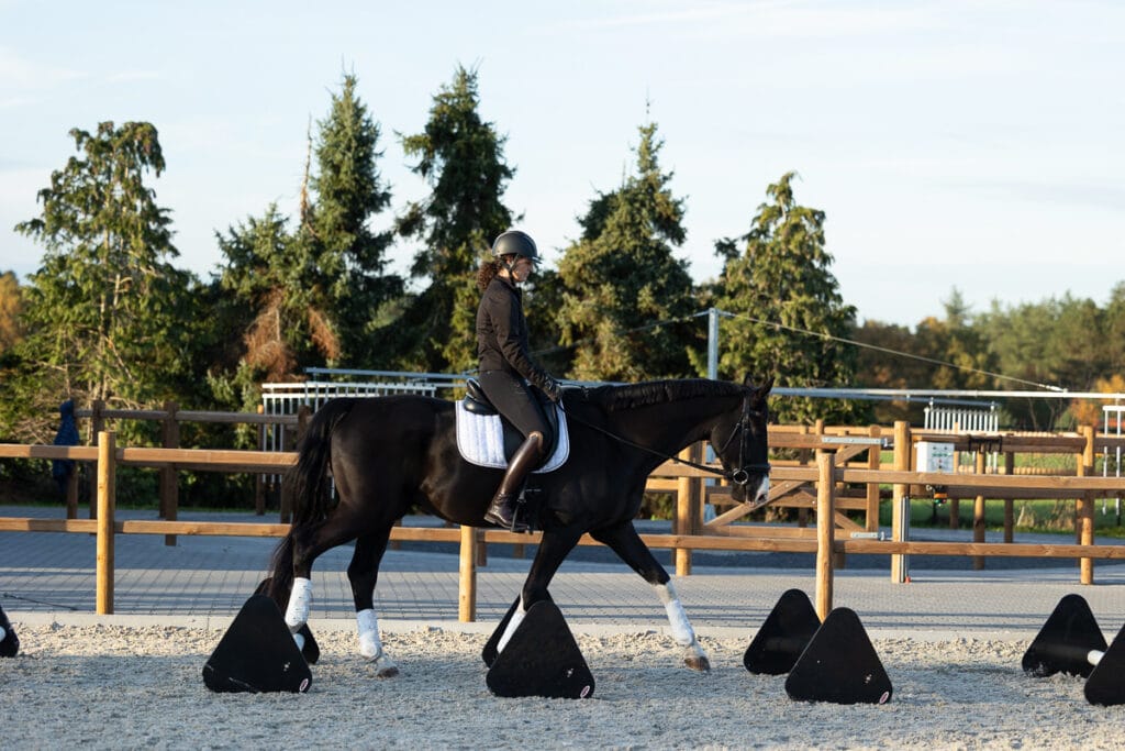 Ocean Equine paarden revalidatie wellness Mireille Poeisz 47 Ocean Equine | Equine Wellness