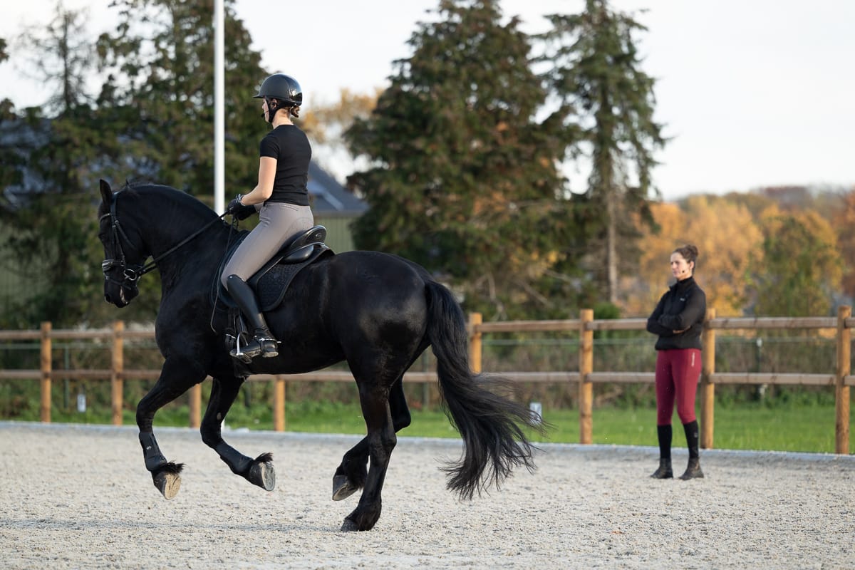 Ocean Equine paarden revalidatie wellness Mireille Poeisz-49