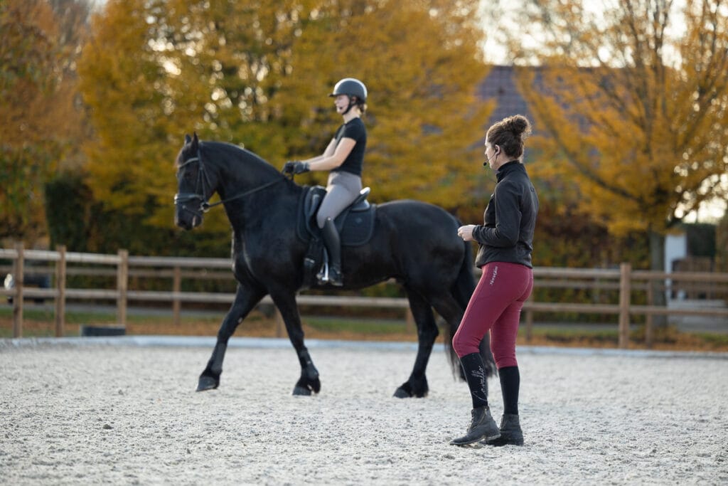 Onze services, Dressuur lessen